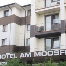 Companions At Hotel Am Moosfeld